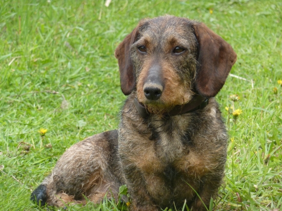 jarný relax na slniečku