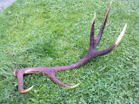 esteticky moj naj...