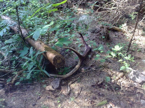 ...aj maly vie potesit...