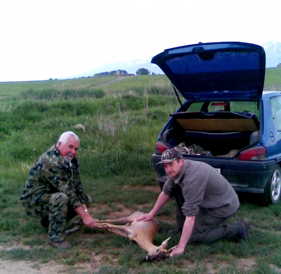 ...srncek prinavrateny prirode...