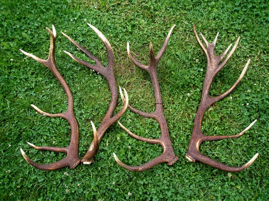 ...na tieto si rad spominam...