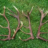 ...na tieto si rad spominam...