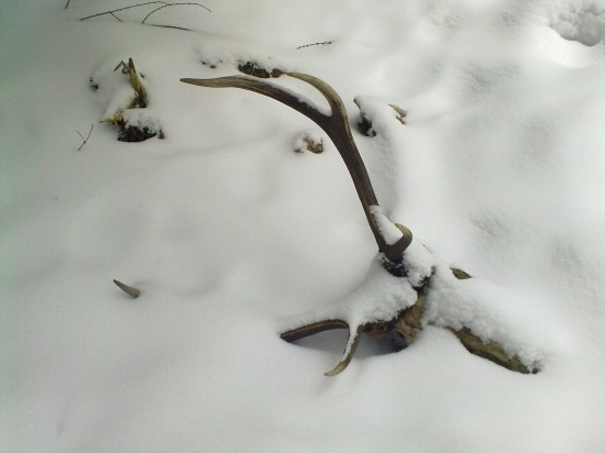 ...ked som hladal druhy zhod do paru...