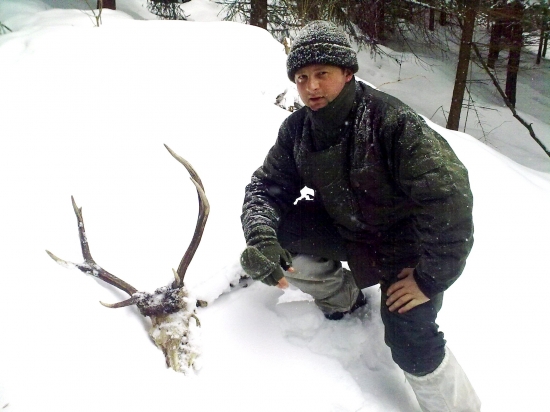 ...uhynuty  jelenik...