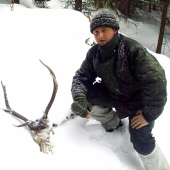 ...uhynuty  jelenik...