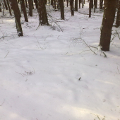 ...zhod,takto som ho zbadal...