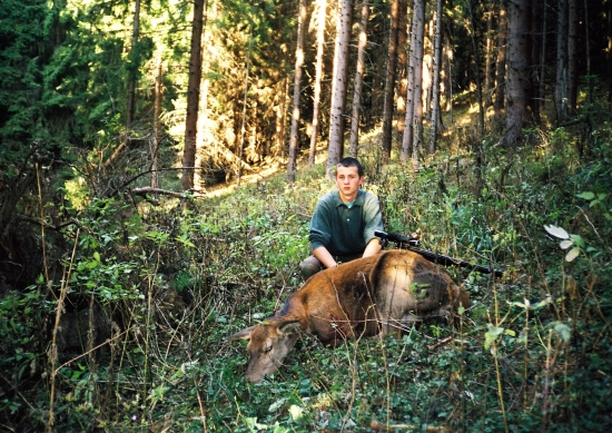 ...stara jelenica...