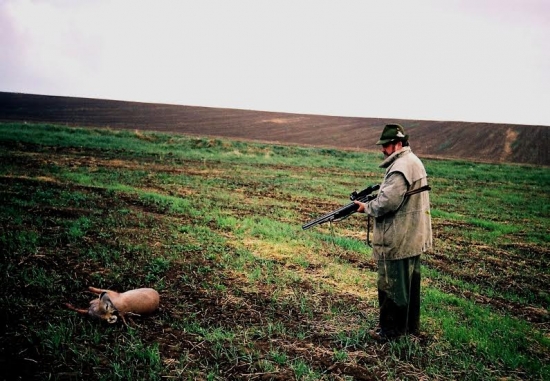 ...srnec na konci nekonecnej dohladavky...