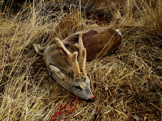 ...skoda ho,aj to sa stava...