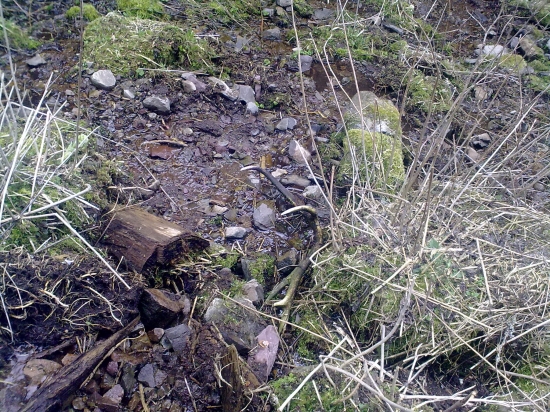 ...Dva roky v potoku,sotva 5m od zvaznice...