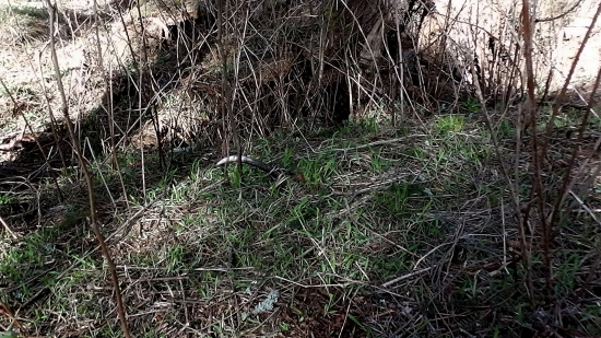 ...takyto pohlad vzdy potesi...