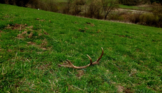 ...poobede,z auta,za dedinou :-)...