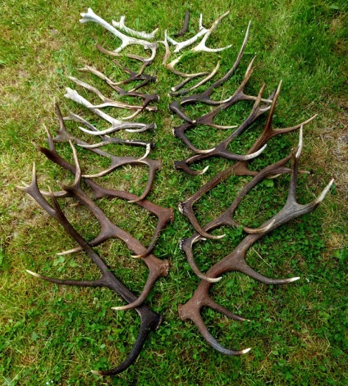 ...takto sa darilo v 2014-tom ...