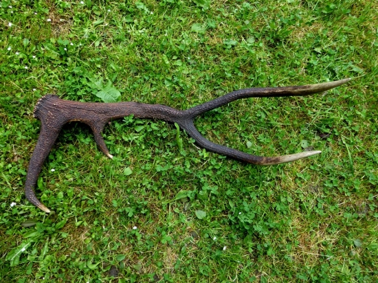 ...Ked ma vidla takmer pol metra...