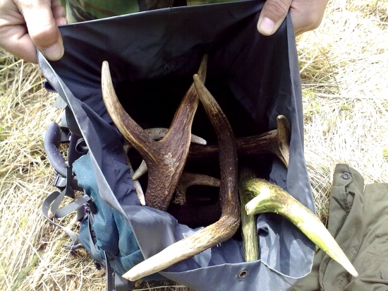 ...Ked ide karta :-)...