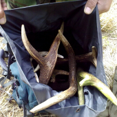 ...Ked ide karta :-)...