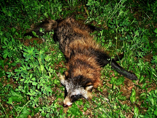 ...Necakany ulovok...