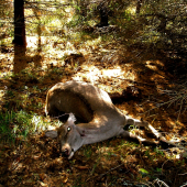 ...aj to treba  robit...