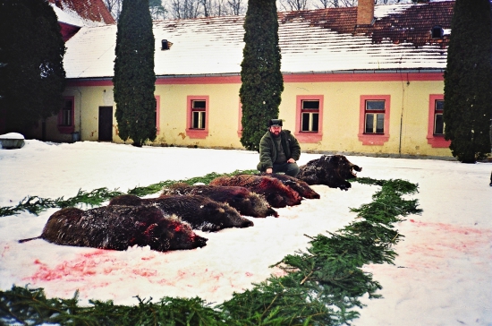 ...Netradicny vyrad...