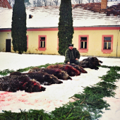 ...Netradicny vyrad...