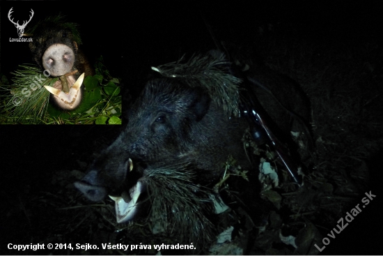 ...Caro polovaciek na splne...