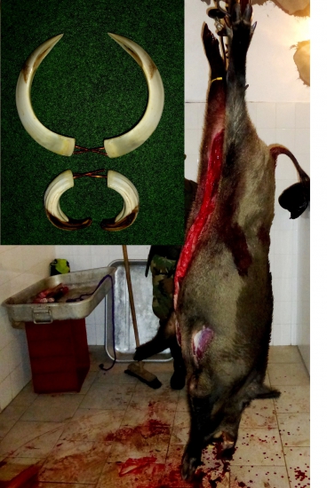 ...Kanec zo splnu...