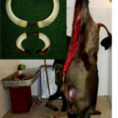 ...Kanec zo splnu...