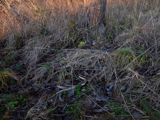 ...Tohto roku posledny...