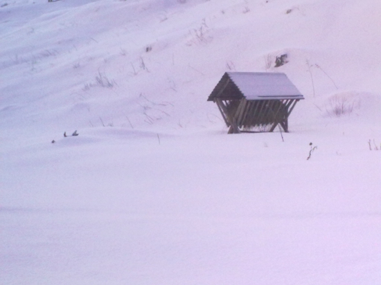 ...tak uz aj v presovskom kraji :-)