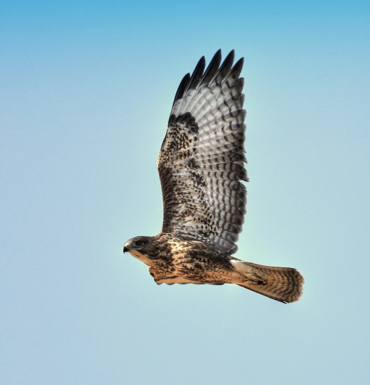 ...Priroda nasa uchvatna...