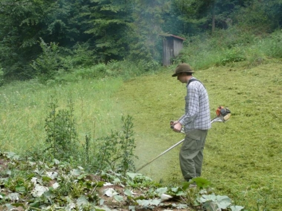 Vargov chlapec v akcii