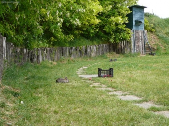 Králik - agent provokatér