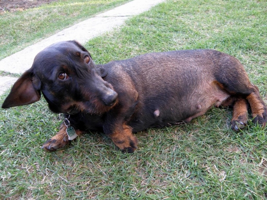 a tak si rastiem do šírky :)))