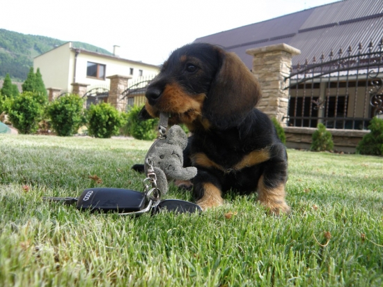 nová posila z Moravy :-)