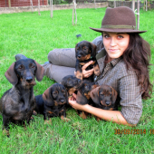 posledná spoločná foto so šteniatkami