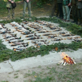 Sobotu ráno