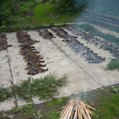 Zaciatok sezona 2010