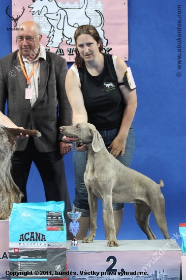 NV Klatovy 2011