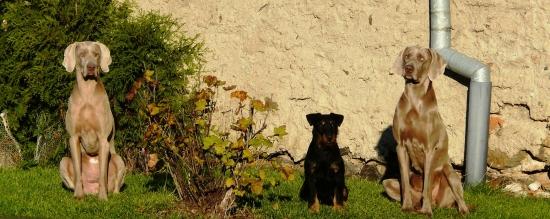 Když vyleze sluníčko pózujeme sami