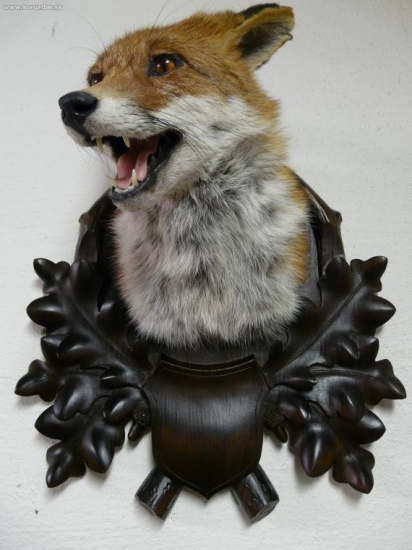 Podložka pod lišku.