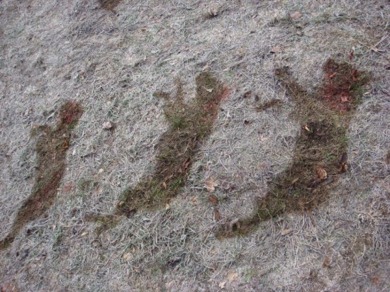 Hádejte, co tam bylo?