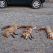 Rozluštění hádanky :o))))