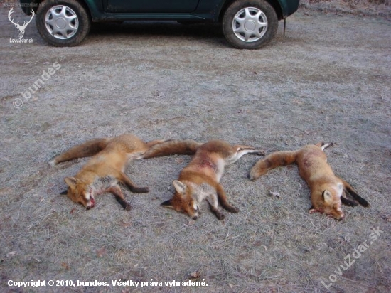 Rozluštění hádanky :o))))