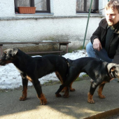 Ina a Cid zo Skalickej