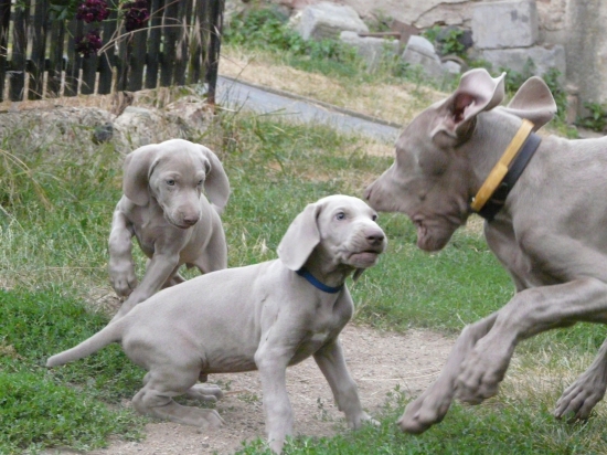 Si nemysli, že si budeš dovolovat.