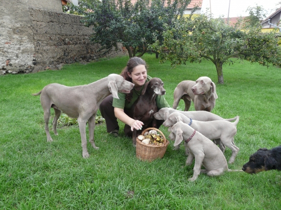 Co to ta panička má?