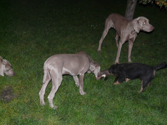 Naši Junioři kotrolují dnešní úlovek