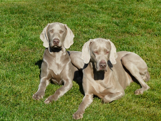 Cruz a Aný Prodomasua Praga