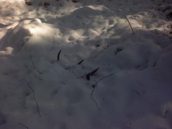 10torak 1,45 kg 79 cm