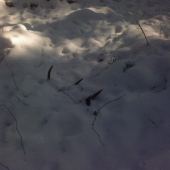 10torak 1,45 kg 79 cm